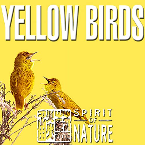 Cover von Compilation "Spirit of Nature (Yellow Birds) [Clean]>"
